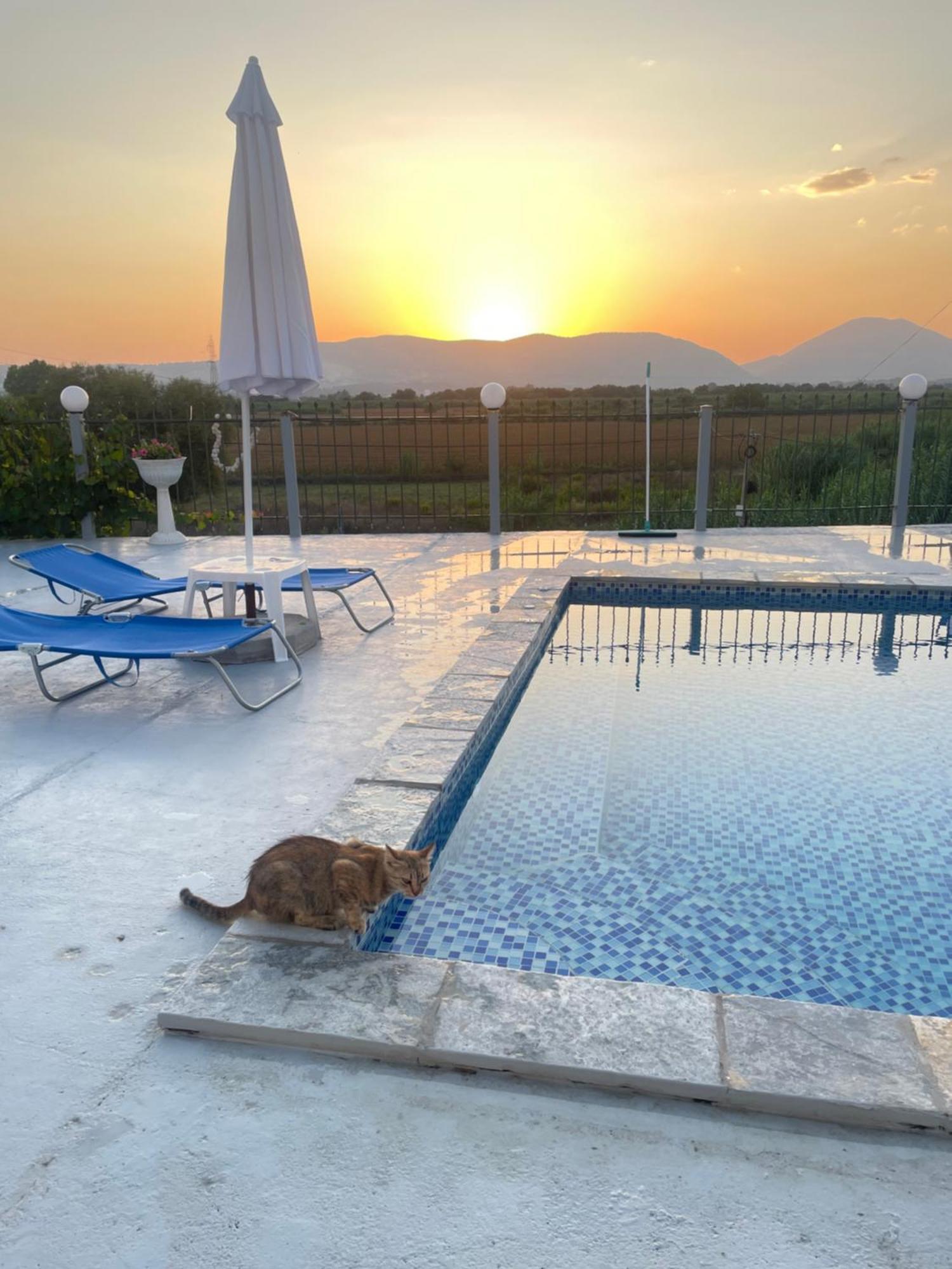 Anastasias Apartments Saranda Dış mekan fotoğraf